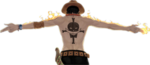 The one piece ace group