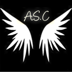 ascity Security