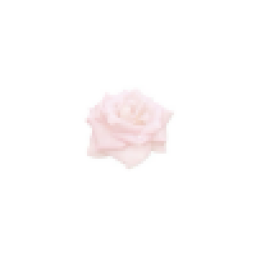 ·˚