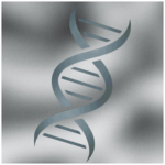 Silverflux Interactive