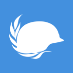 UN | Peacekeeping by the United Nations