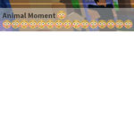 Animal gang of the animals