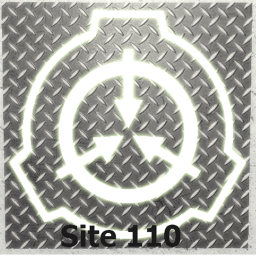 Site 110