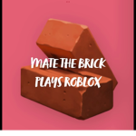 Mate the Brick plays Roblox