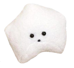 Sucklet Gang
