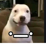 Hamburgerb