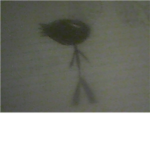 the demonized