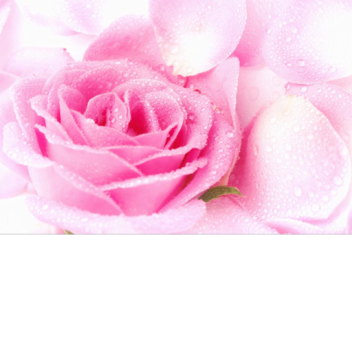 pink hang out place!:D