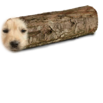 The Dog Log