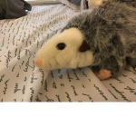 Mr Possum Group