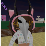 The Epic Following Of Roblox