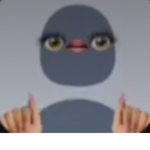 ELO12346