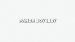 The Panda Boy Gamers