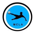 The European Super Blox Soccer Pro League