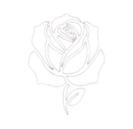 Whiterose School