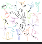 Dance Accademy!
