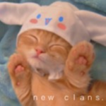ｎｅｗ ｃｌａｎｓ.