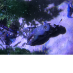 im giving my sister 50 Robux irasdhf; pls