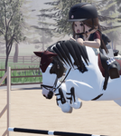 Spring Equestrian