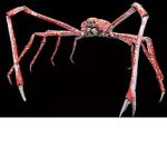 SCARY ANIMALS GROUP