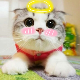 Love Chat [Level 1 Love]