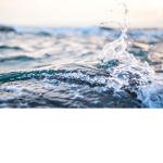 Hey You In The Water