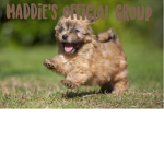 Maddie's official group