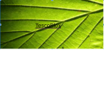 Official TescoBlox