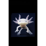 -Axolotl staff-