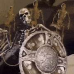 Official Void fan group