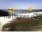 The Dayinma group