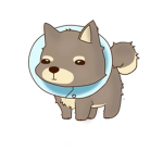 DogeStreets Clothing