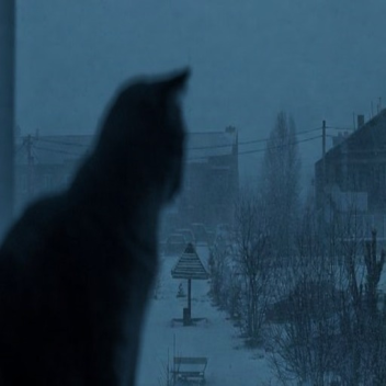 ⸻⸻⸻⸻⸻⸻⸻⸻⸻