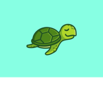 TurtlesNest