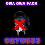 OWA OWA packKk .