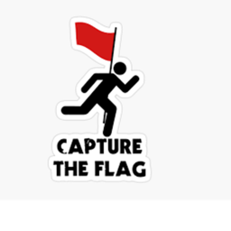 Captura La Bandera