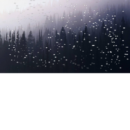 Forest Island (Snow!)