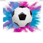 ~Soccer Club~