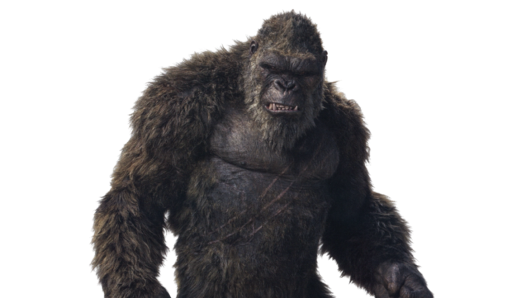 Kong screenshot 1