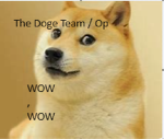 the doge team / op
