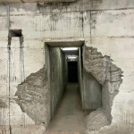 forgottenfiles