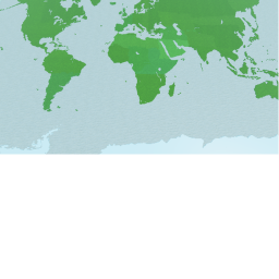 Find the point NEW UPDATE