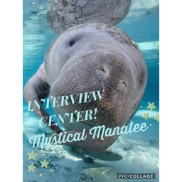 Mystical Manatee's Interview Center