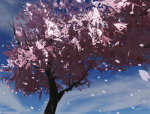 Cherry Blossom’s Studio