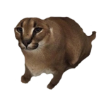 floppas gang