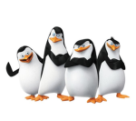 Just Penguins