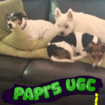 Papi's UGC!