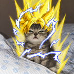 super saiyan cat