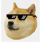 Doge :P