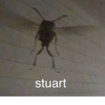 wena pipol xD uwu